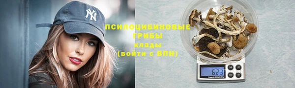 PSILOCYBIN Армянск